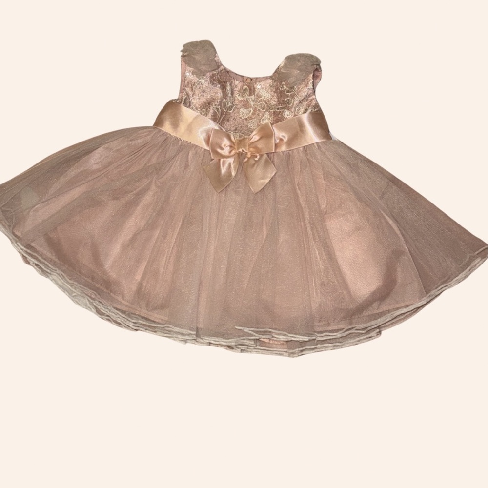 Bonnie Baby Girl Dress NWT 3-6M Blush Pink Tulle Party Dress 🎀